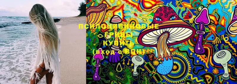 MEGA ссылка  Правдинск  Псилоцибиновые грибы Cubensis 